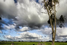 国足完成抵达沙特后的首堂训练课.