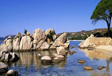 超凡国际官网:尽力局!布克17投12中得28分3板3助 惨败之下正负值-26.